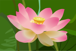lotus-gd09a1f57c_1280